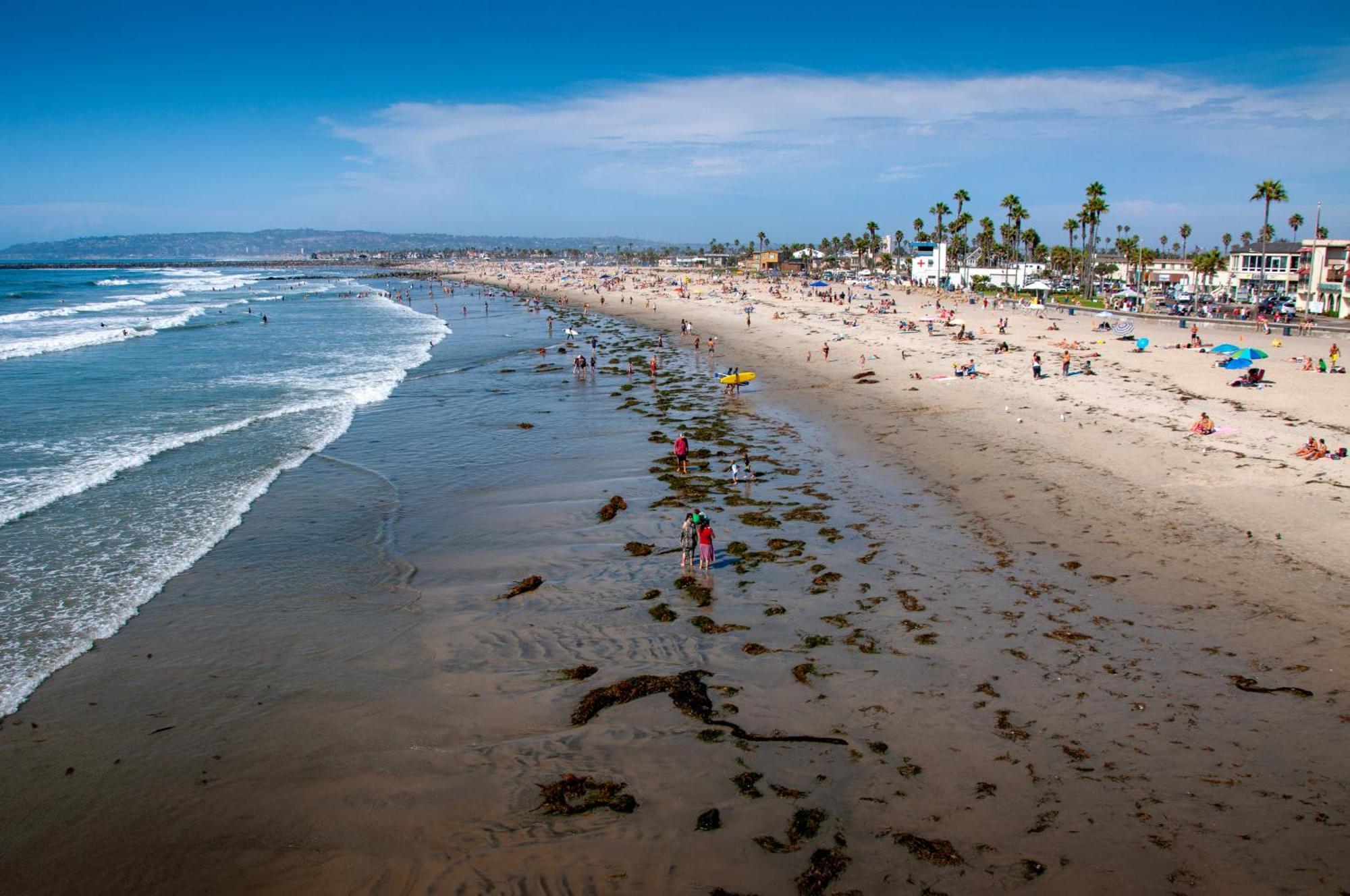 Modern Ocean Beach Apartment San Diego Eksteriør billede