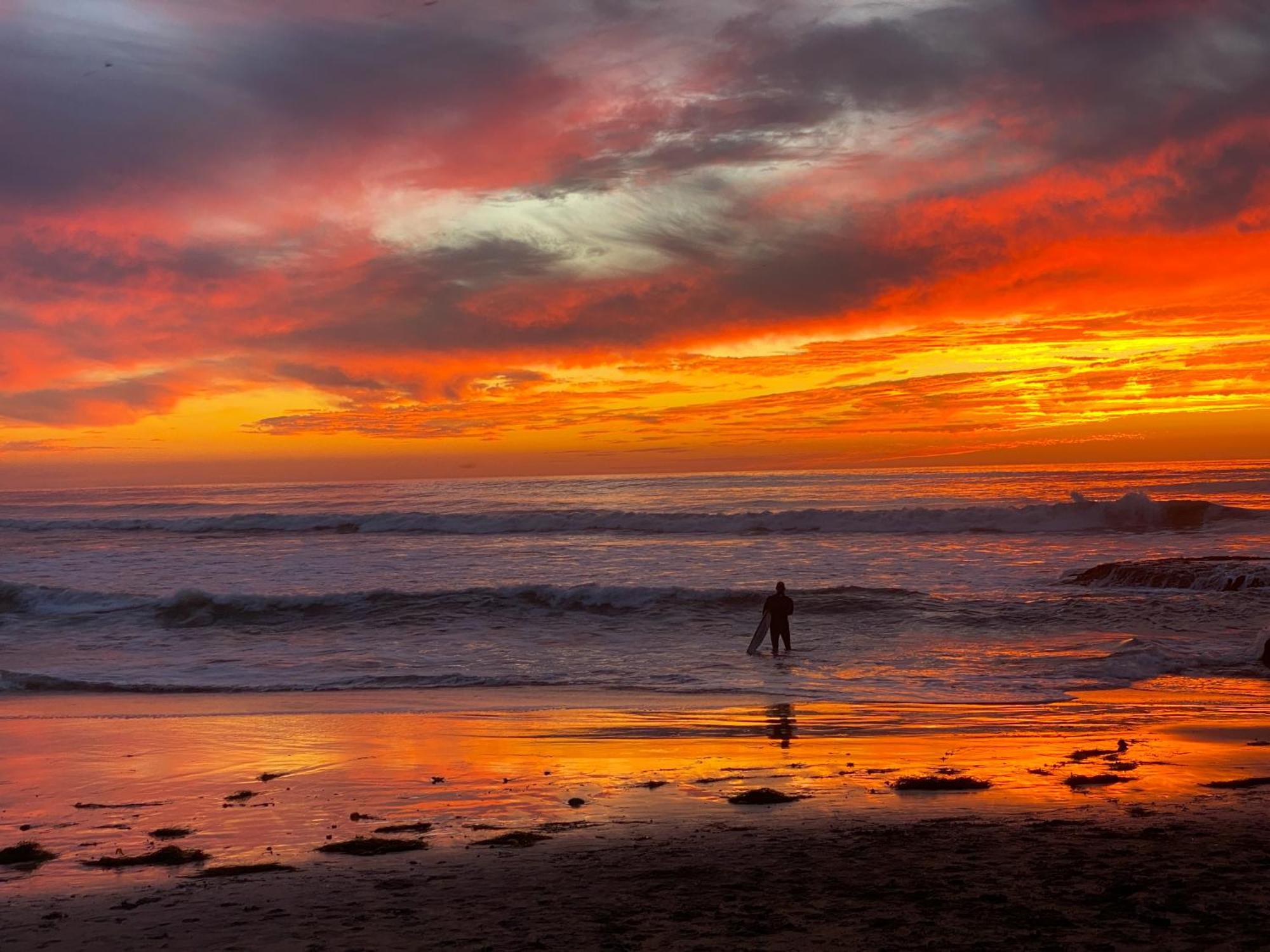 Modern Ocean Beach Apartment San Diego Eksteriør billede
